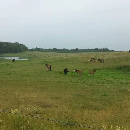 5 Star In * Bagenkop